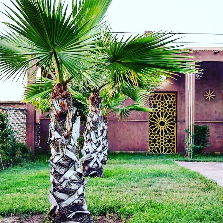 Riad Darga Rouge Ouled Bouzid Esterno foto